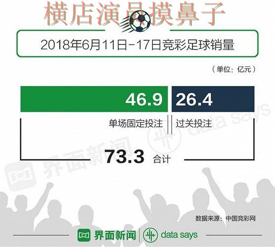 世界杯投注入口揭秘报告：官网直达与实际体验总结 - 世界杯数据