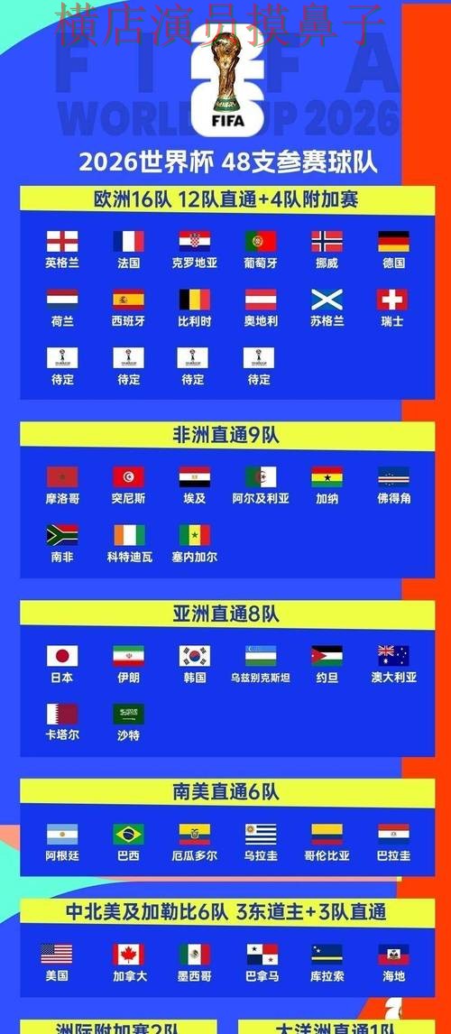 世界杯投注入口解析：用户反馈全指南 - World Cup 2026